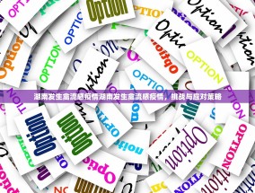 湖南发生禽流感疫情湖南发生禽流感疫情，挑战与应对策略