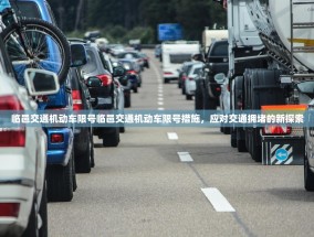 临邑交通机动车限号临邑交通机动车限号措施，应对交通拥堵的新探索