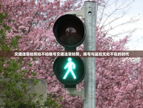 交通违章拍照拍不拍限号交通违章拍照，限号与监控无处不在的时代