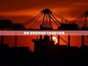 疫情 温州温州疫情下的坚韧与希望
