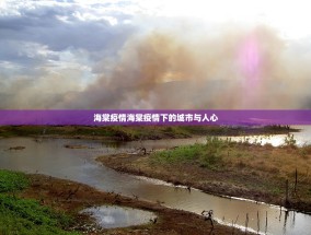 海棠疫情海棠疫情下的城市与人心