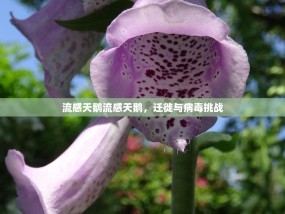 流感天鹅流感天鹅，迁徙与病毒挑战