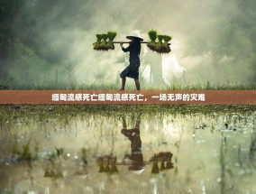 缅甸流感死亡缅甸流感死亡，一场无声的灾难