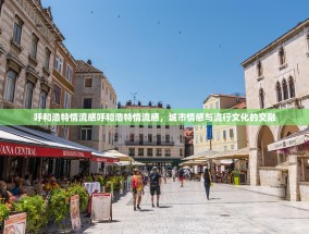 呼和浩特情流感呼和浩特情流感，城市情感与流行文化的交融