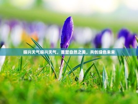 振兴天气振兴天气，重塑自然之美，共创绿色未来