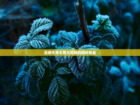 流感牛蒡牛蒡与流感的微妙联系