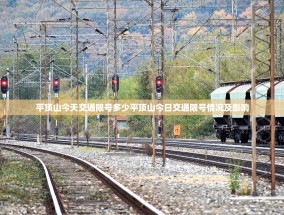 平顶山今天交通限号多少平顶山今日交通限号情况及影响