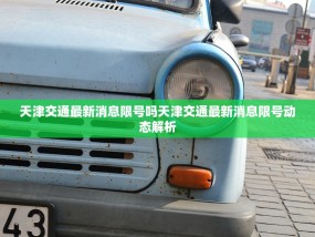 天津交通最新消息限号吗天津交通最新消息限号动态解析