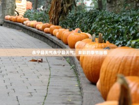 永宁县天气永宁县天气，多彩的季节画卷