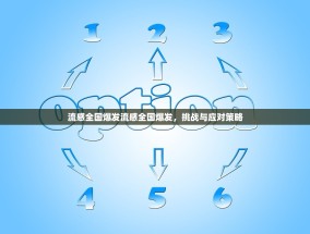 流感全国爆发流感全国爆发，挑战与应对策略
