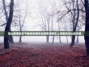 空山新雨后天气晚来秋明月松间照清泉石上流雨后空山秋月夜