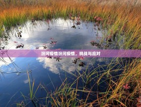 汾河疫情汾河疫情，挑战与应对