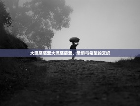 大流感感受大流感感受，恐惧与希望的交织