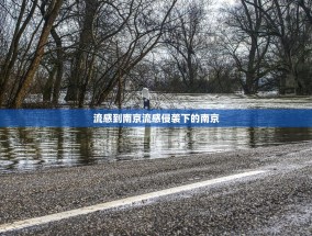 流感到南京流感侵袭下的南京