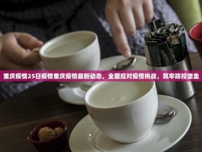 重庆疫情25日疫情重庆疫情最新动态，全面应对疫情挑战，筑牢防控堡垒