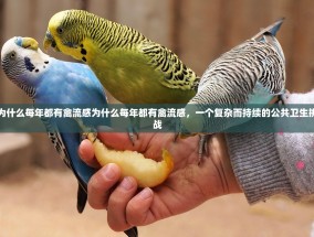 为什么每年都有禽流感为什么每年都有禽流感，一个复杂而持续的公共卫生挑战