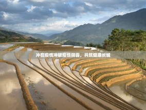 冲在疫情冲破疫情阴霾，共筑健康长城