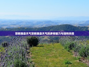 邯郸魏县天气邯郸魏县天气的多样魅力与独特风情