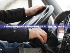 泸州市交通限号查询网泸州市交通限号查询网，便捷出行，一网通达