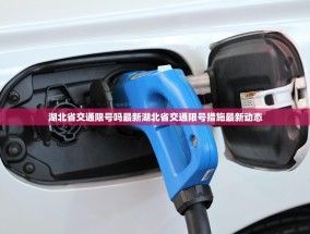 湖北省交通限号吗最新湖北省交通限号措施最新动态