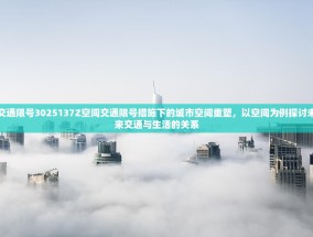 交通限号3025137Z空间交通限号措施下的城市空间重塑，以空间为例探讨未来交通与生活的关系