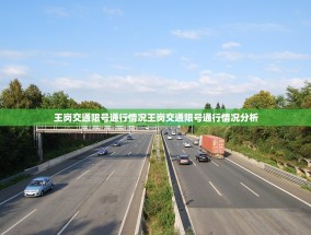 王岗交通限号通行情况王岗交通限号通行情况分析