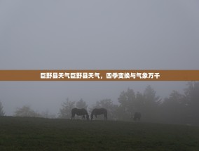 巨野县天气巨野县天气，四季变换与气象万千