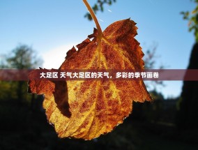 大足区 天气大足区的天气，多彩的季节画卷