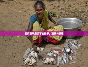 疫情猴子疫情下的猴子，观察与反思