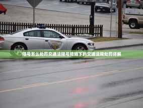 限号怎么处罚交通法限号措施下的交通法规处罚详解