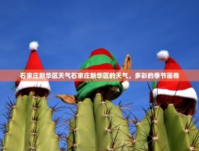 石家庄新华区天气石家庄新华区的天气，多彩的季节画卷