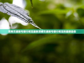 渭南交通限号禁行规定最新渭南交通限号禁行规定的最新动态