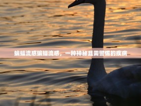 蝙蝠流感蝙蝠流感，一种神秘且需警惕的疾病