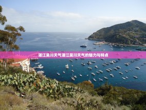 湛江吴川天气湛江吴川天气的魅力与特点