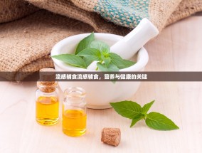 流感辅食流感辅食，营养与健康的关键