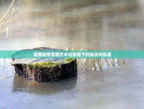 雪雕疫情雪雕艺术与疫情下的挑战与机遇