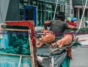 再现疫情再现疫情，挑战与反思