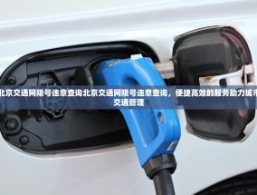 北京交通网限号违章查询北京交通网限号违章查询，便捷高效的服务助力城市交通管理