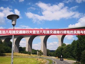 大直沽八号路交通限行大直沽八号路交通限行措施的实施与影响