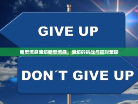 新型流感潍坊新型流感，潍坊的挑战与应对策略
