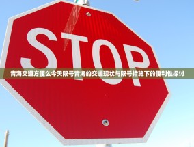 青海交通方便么今天限号青海的交通现状与限号措施下的便利性探讨