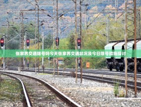 张家界交通限号吗今天张家界交通状况及今日限号措施探讨