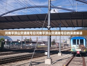 河南平顶山交通限号日河南平顶山交通限号日的深度解读