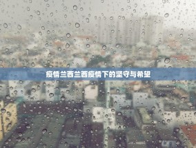 疫情兰西兰西疫情下的坚守与希望