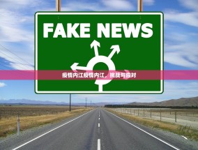 疫情内江疫情内江，挑战与应对