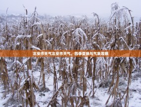 北安市天气北安市天气，四季变换与气象观察