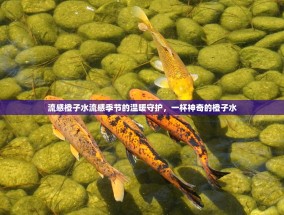 流感橙子水流感季节的温暖守护，一杯神奇的橙子水