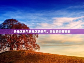 天元区天气天元区的天气，多彩的季节画卷