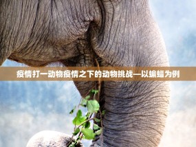 疫情打一动物疫情之下的动物挑战—以蝙蝠为例