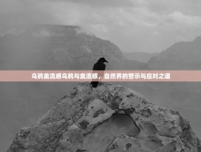 乌鸦禽流感乌鸦与禽流感，自然界的警示与应对之道
